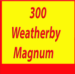 300 Weatherby Magnum